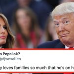 Melania Called Trump A Family Man — Internet Reactions